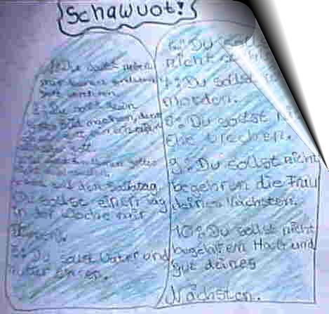 schawt-2.jpg (29451 Byte)