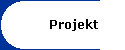 Projekt